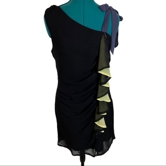 Chiffon Dress - Picture 3 of 7